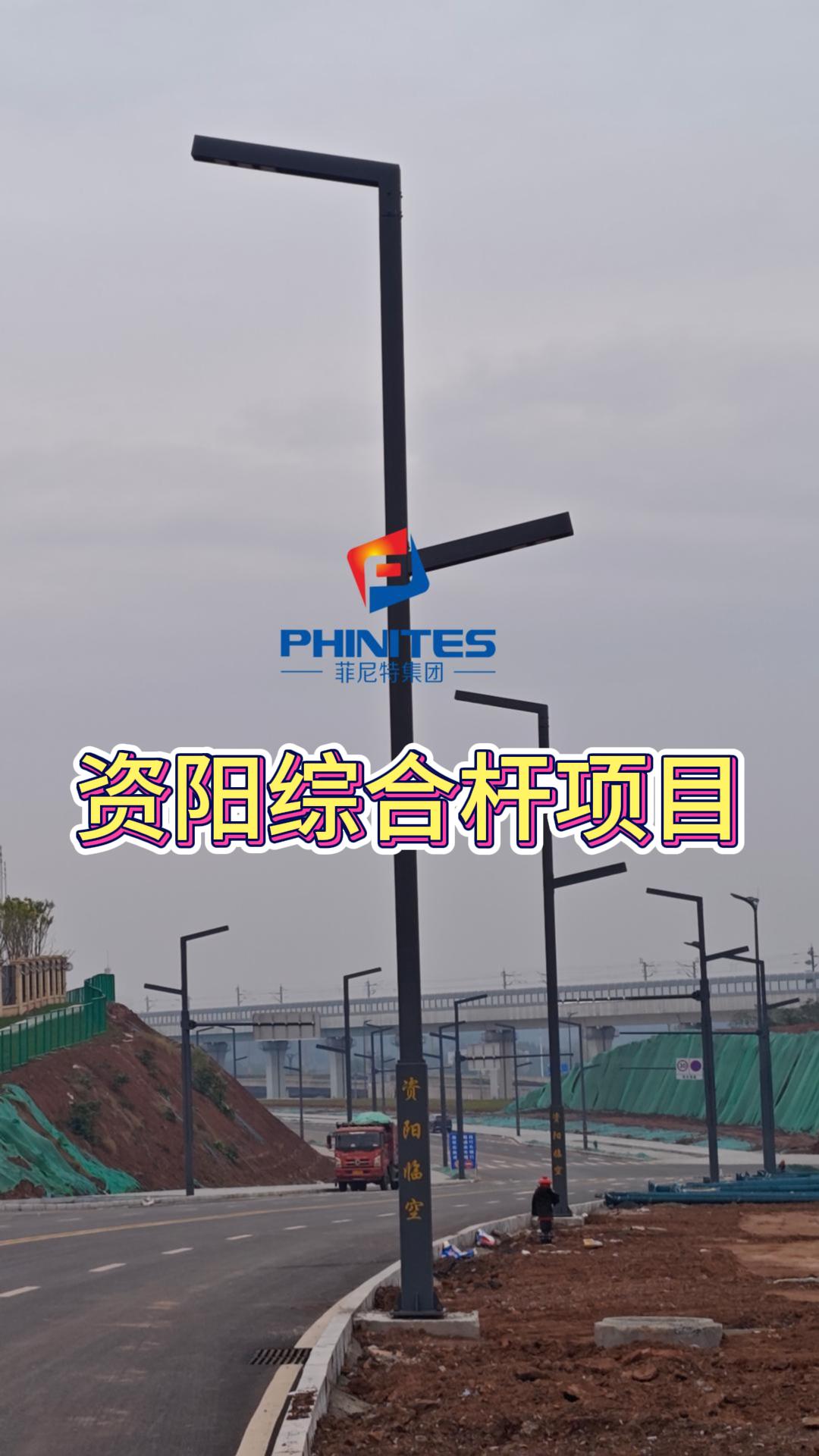 資陽綜合桿項目